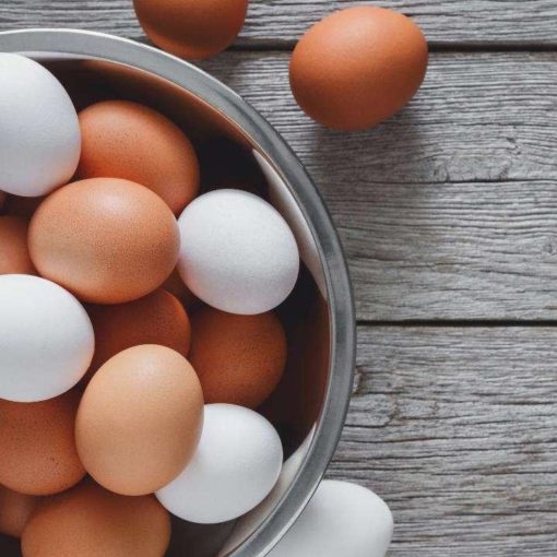 Devriez-vous manger des œufs pour perdre du poids plus rapidement
