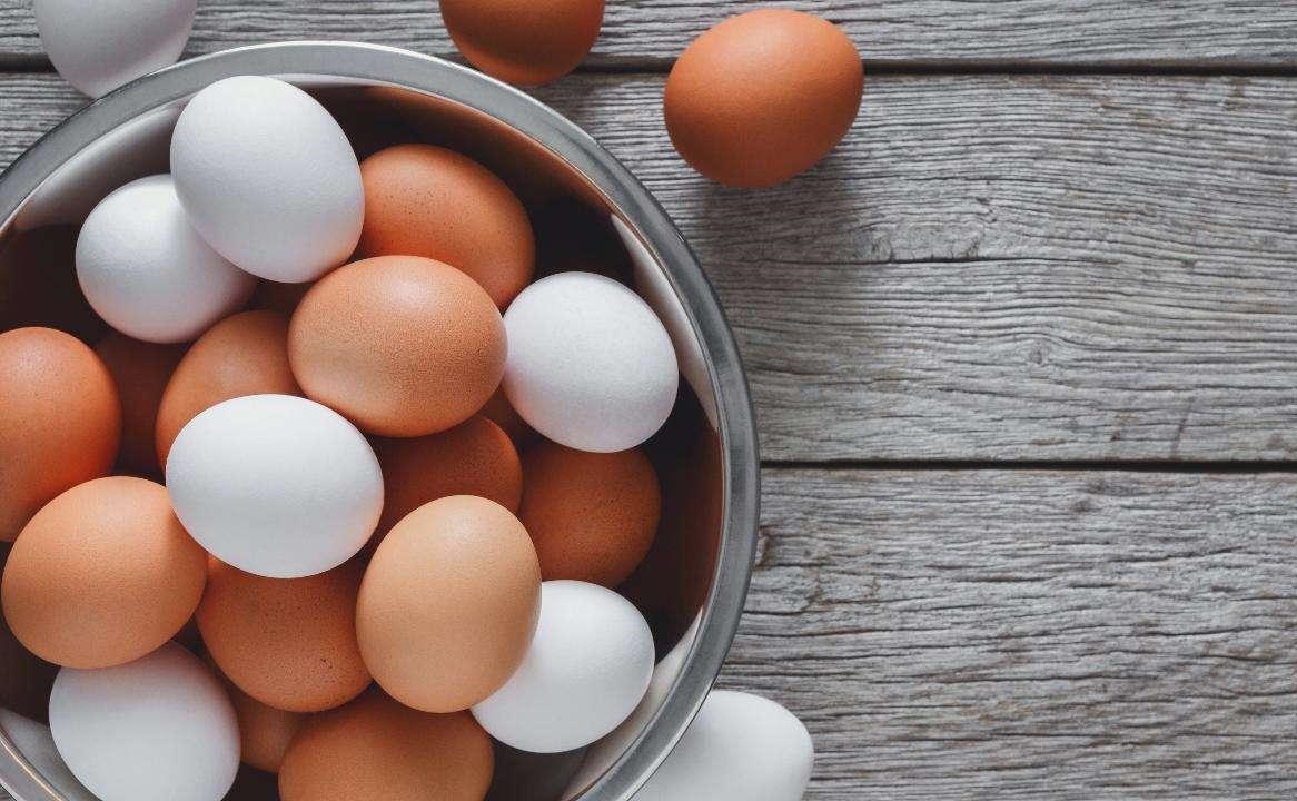 Devriez-vous manger des œufs pour perdre du poids plus rapidement