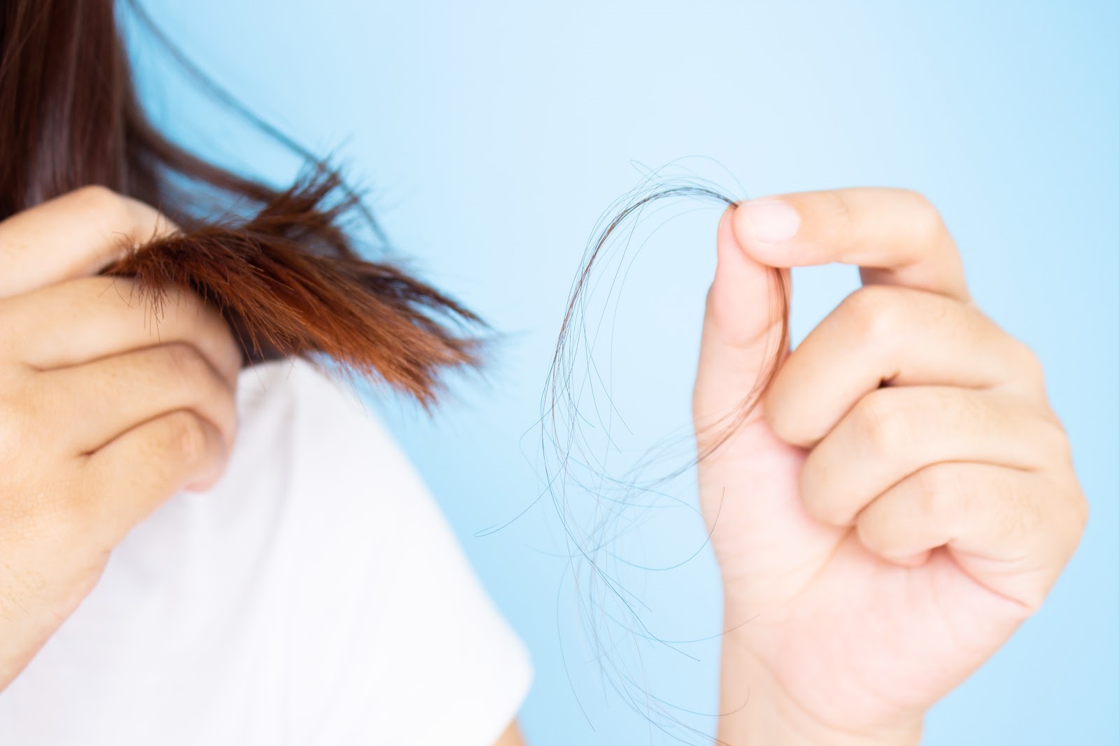Quel est le lien entre la perte de poids et la perte de cheveux